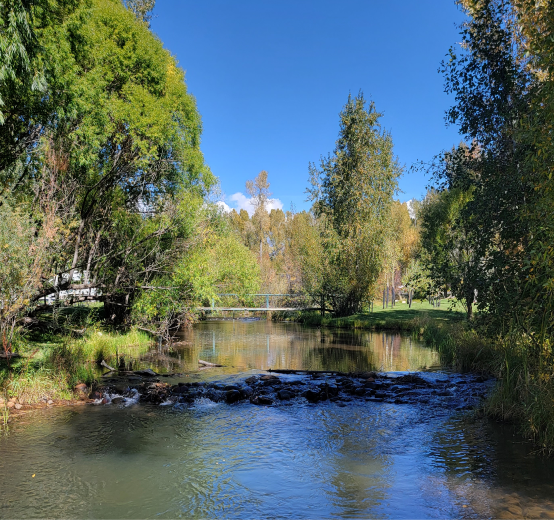 Outdoorsy Bayfield - Photo 3