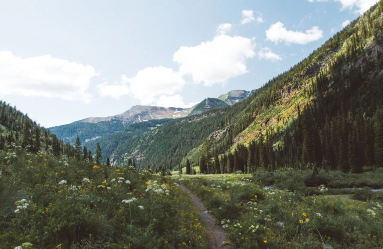 Outdoorsy’s Campgrounds in Colorado and California