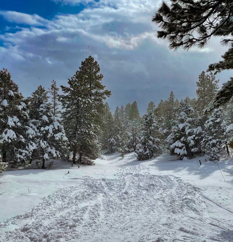 Best Winter Activities in Durango