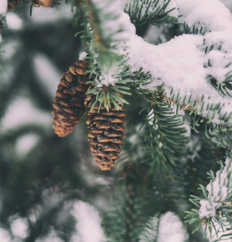 Christmas in Durango, Colorado