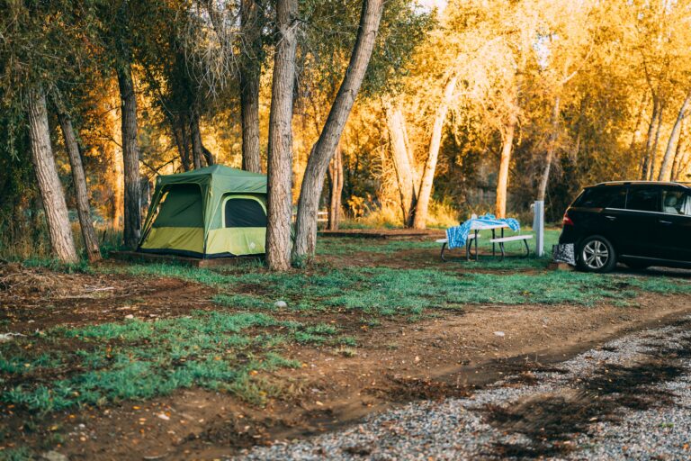 Tent Site with Electric Hookups